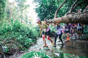 BIB: 
                            <button type="button" onclick="openModal(25456317)" class="btn btn-primary btn-sm float-right btn-popup" data-toggle="modal" data-target=".modal-high-quality">
                        <i class="fas fa-shopping-cart"></i> Add to Cart
                    </button>
                                            <button type="button" onclick="isThisMe(25456317, true)" class="btn btn-success btn-sm float-right btn-popup btn-isme hidden" data-toggle="tooltip" data-placement="bottom" title="นี่คือรูปของคุณใช่ไหม คลิกที่นี่เพื่อเอาเข้าอัลบั้ม">
                        <i class="fas fa-plus"></i> Add to album
                    </button>
                    <button type="button" onclick="isThisMe(25456317, false)" class="btn btn-warning btn-sm float-right btn-popup btn-isnotme hidden">
                        <i class="fas fa-ban"></i> Remove from album
                    </button>